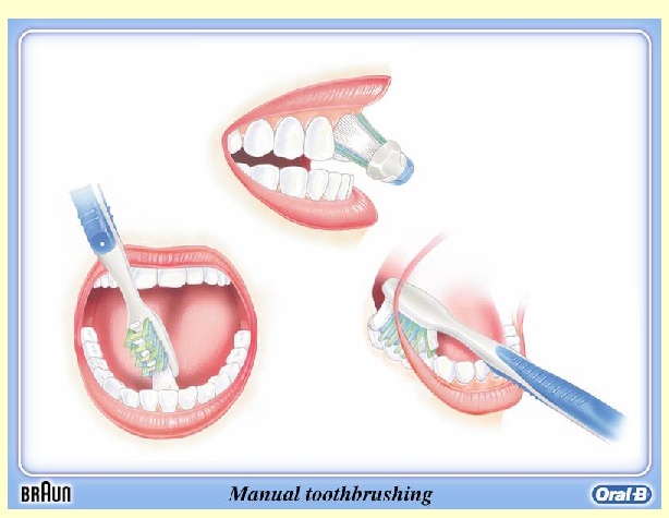 ToothBrushing Technique touches gums too